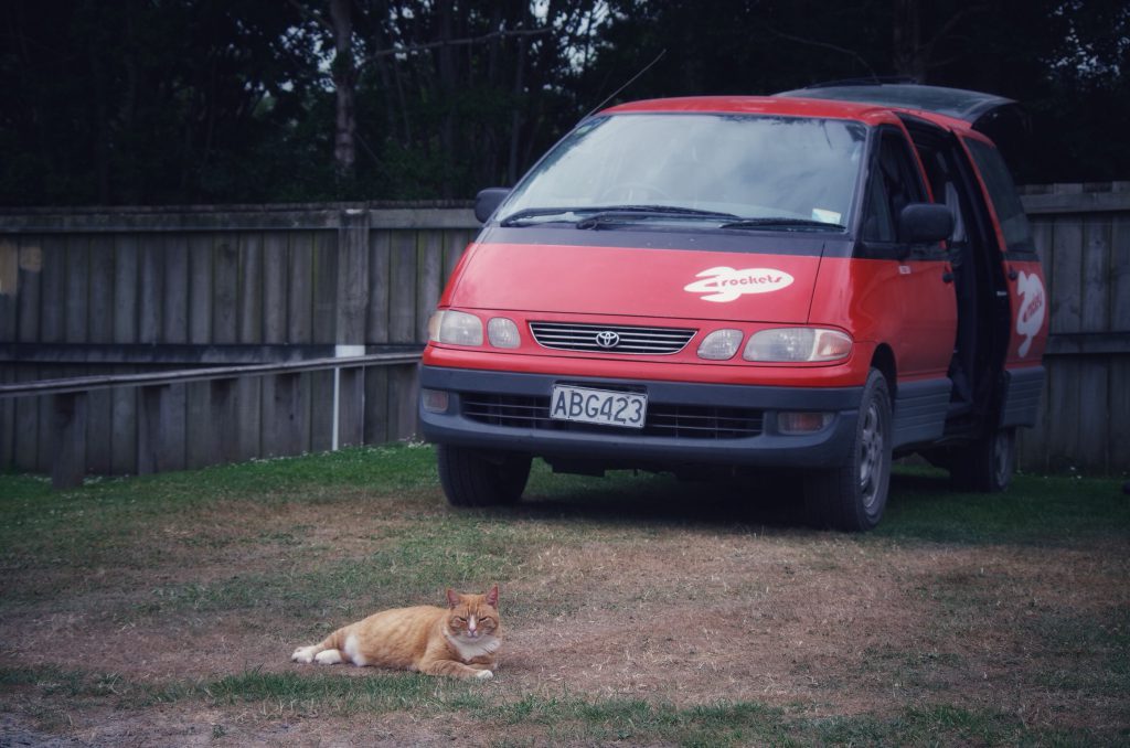 te_waewae_bay_signpost